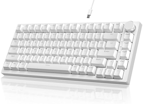 AJAZZ AK820 Mechanical Gaming Keyboard 75% Wired TKL Hot Swappable-Black